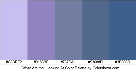 What Are You Looking At Color Colors Logo