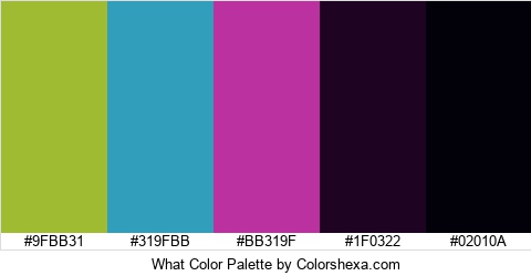 What Color Colors Logo