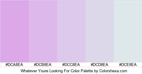 Whatever Youre Looking For Color Colors Logo