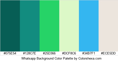 Whatsapp Background Color Colors Logo