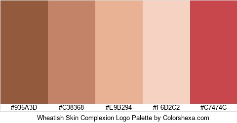 Wheatish Skin Complexion Logo Colors Logo