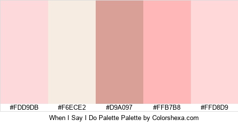 When I Say I Do Palette Colors Logo