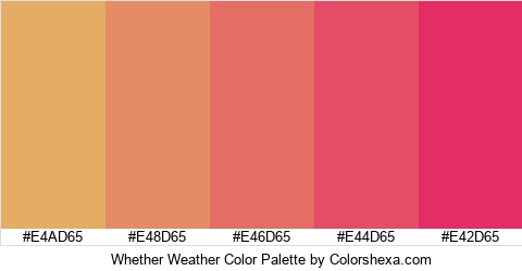 Whether Weather Color Colors Logo