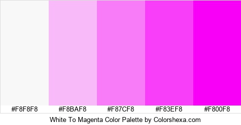White To Magenta Color Colors Logo