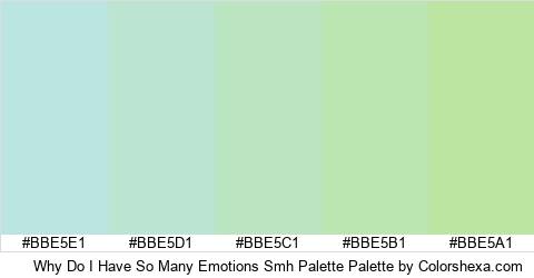 Why Do I Have So Many Emotions Smh Palette Colors Logo