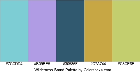 Wilderness Brand Colors Logo