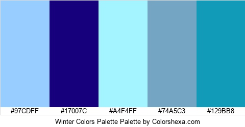 Winter Colors Palette Colors Logo