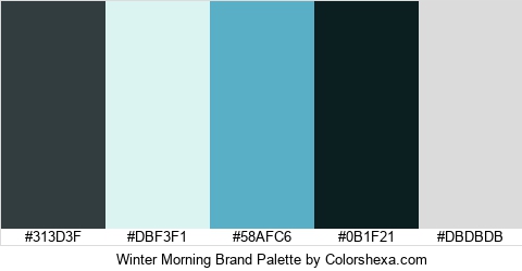 Winter Morning Brand Colors Logo