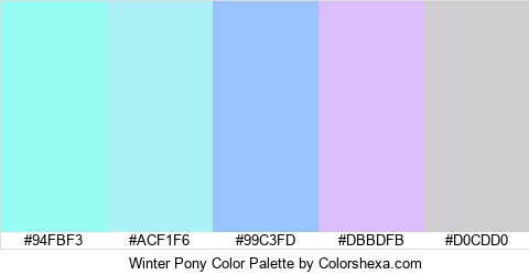 Winter Pony Color Colors Logo