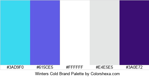 Winters Cold Brand Colors Logo