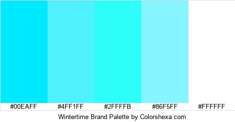 Wintertime Brand Colors Logo