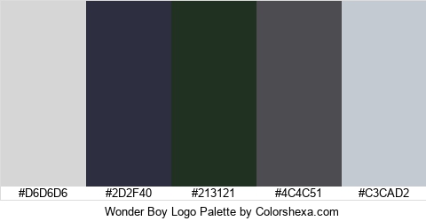 Wonder Boy Logo Palette #D6D6D6 #2D2F40 #213121 #4C4C51 #C3CAD2 Hex