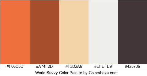 World Savvy Color Colors Logo
