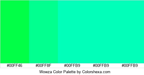 Wowza Color Colors Logo