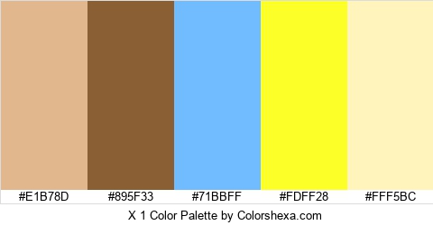 X 1 Color Colors Logo
