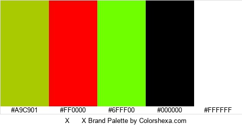 X X Brand Colors Logo