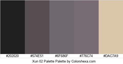 Xun 02 Palette Colors Logo