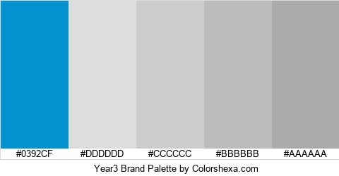 Year3 Brand Colors Logo