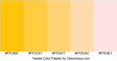 Yeeted Color Colors Logo