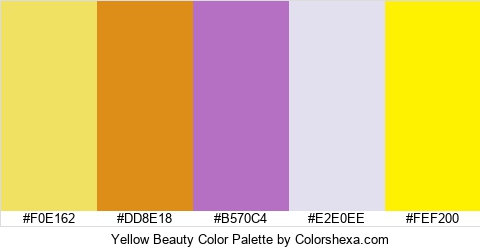 Yellow Beauty Color Colors Logo