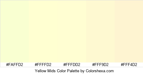 Yellow Mids Color Colors Logo