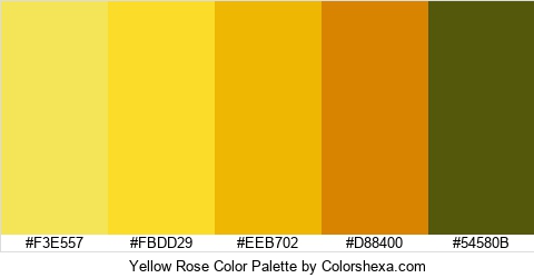 Yellow Rose Color Colors Logo