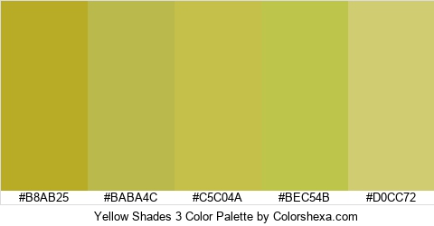 Yellow Shades 3 Color Colors Logo