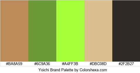 Yoichi Brand Colors Logo