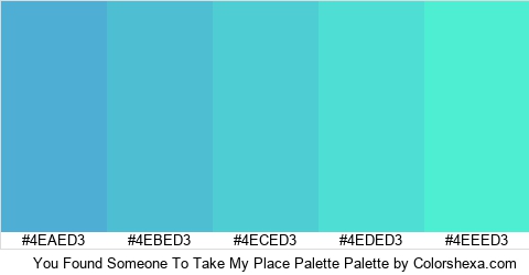You Found Someone To Take My Place Palette Colors Logo