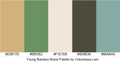 Young Bamboo Brand Colors Logo
