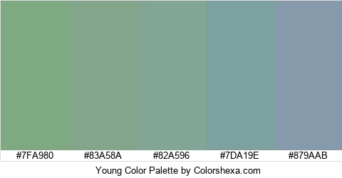 Young Color Colors Logo