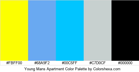 Young Mans Apartment Color Colors Logo