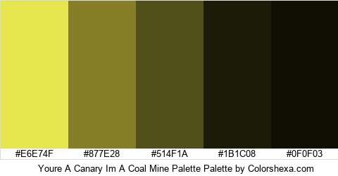 Youre A Canary Im A Coal Mine Palette Colors Logo