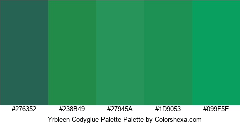 Yrbleen Codyglue Palette Colors Logo