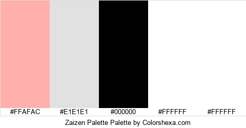 Zaizen Palette Colors Logo