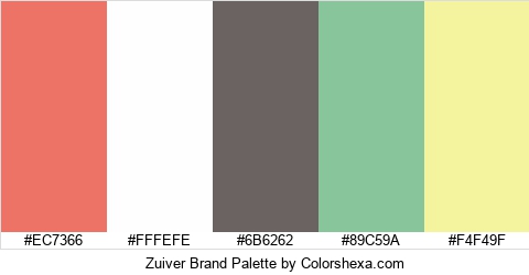 Zuiver Brand Colors Logo
