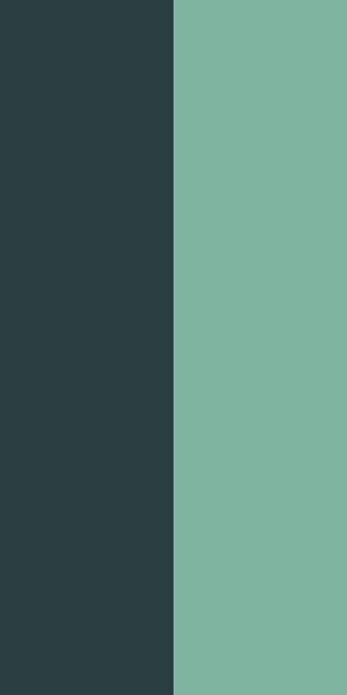 Servicenow Logo Color Palette #293E40 #80B6A1 Hex