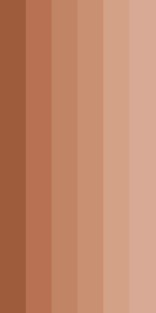 Tan Skin Color Brand Palette #9F5C3C #B87152 #C18566 #CA9072 #D3A186 # ...