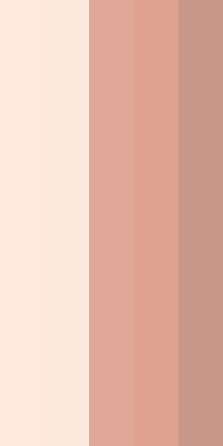 Anime Skin Tones 1 Pale Color Palette #FFE9DC #FCE9DB #E0A899 #DFA290 # ...
