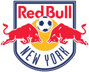 New York Red Bulls Brand Logo