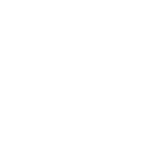 Newcastle United Football Club Brand Logo