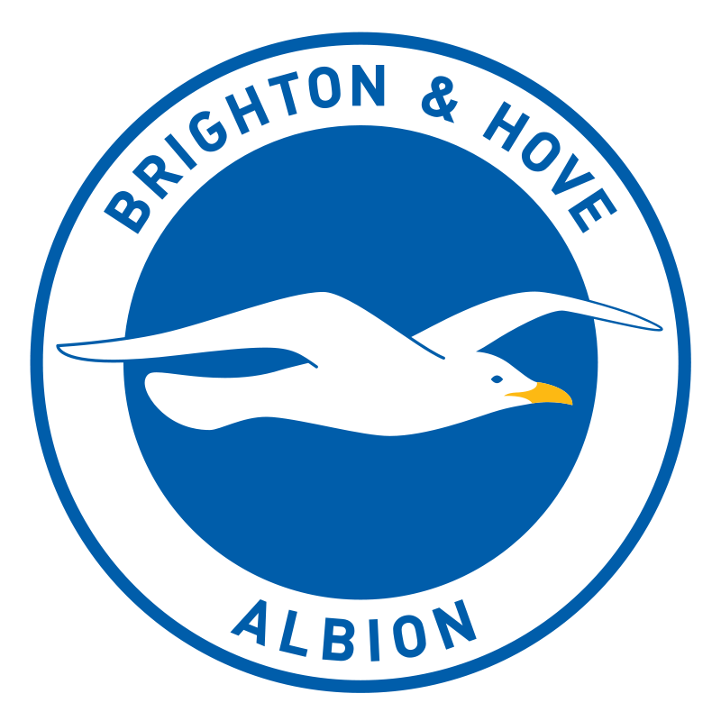 Brighton & Hove Albion Brand Logo
