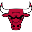 Chicago Bulls Brand Logo
